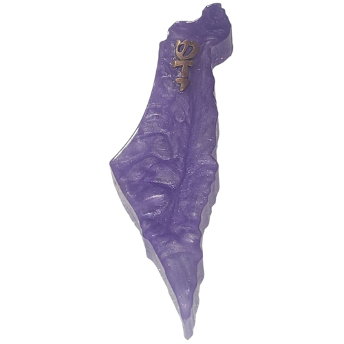 בית מזוזה בעיצוב מפת ארץ ישראל בצבע סגול פנינתי עם האות ש׳ מוזהבת בחלק העליון
